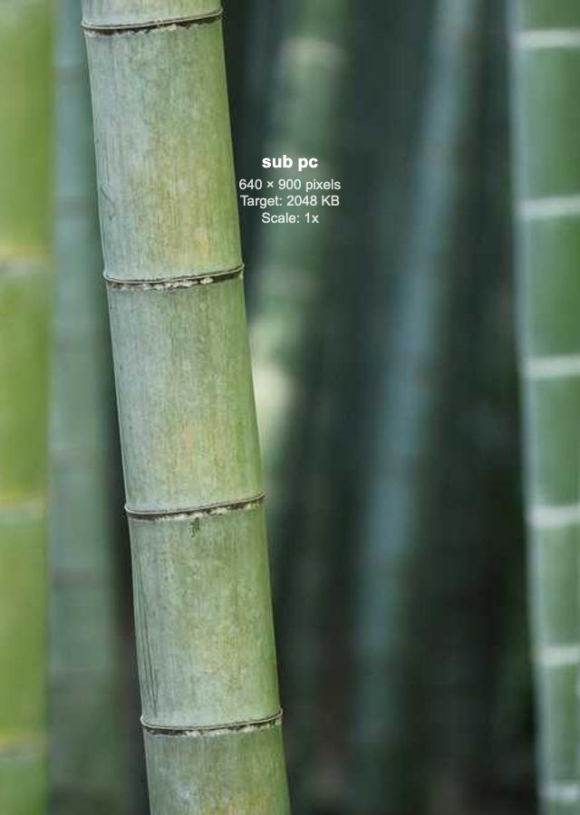 subanner-三图-640*900